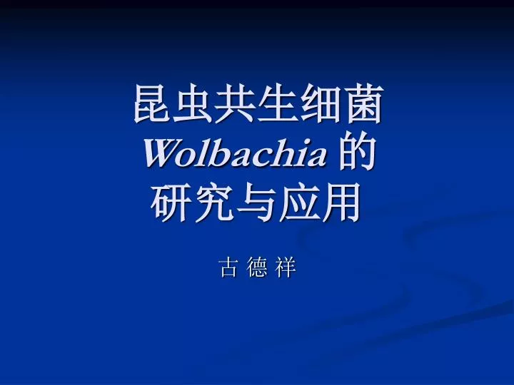 wolbachia