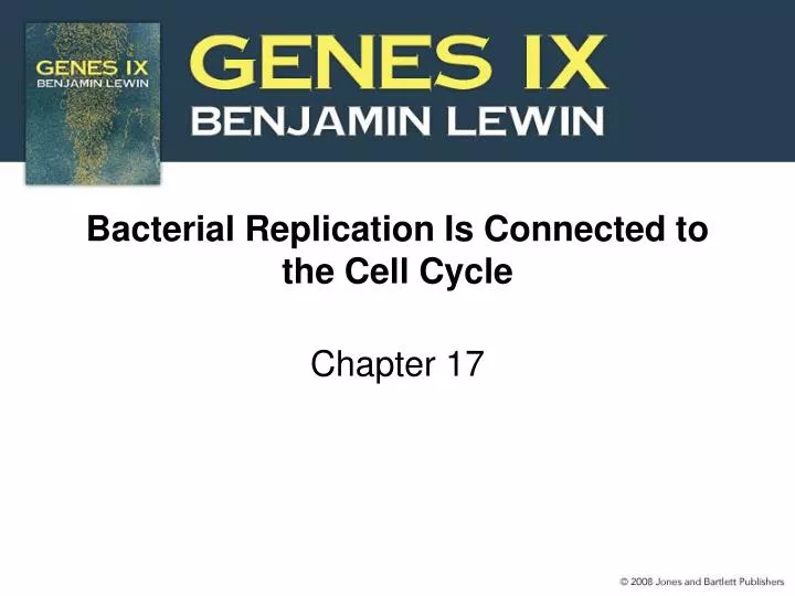 bacterial replication is connected to the cell cycle