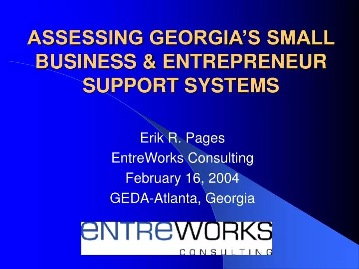 assessing georgia s small business entrepreneur support systems