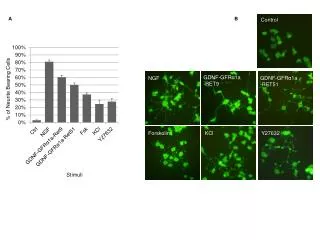 GDNF-GFR α 1a -RET9