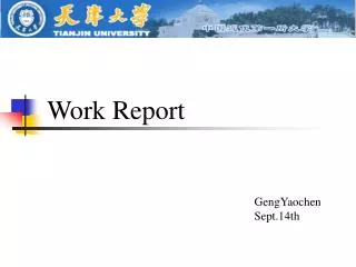 Work Report