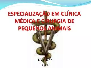 especializa o em cl nica m dica e cirurgia de pequenos animais