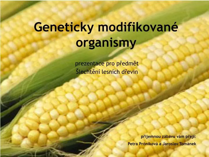 geneticky modifikovan organismy