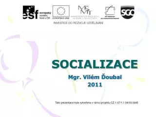 socializace