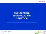 TÉCNICAS DE MANIPULACIÓN GENÉTICA - slide 1