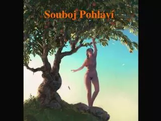 souboj pohlav
