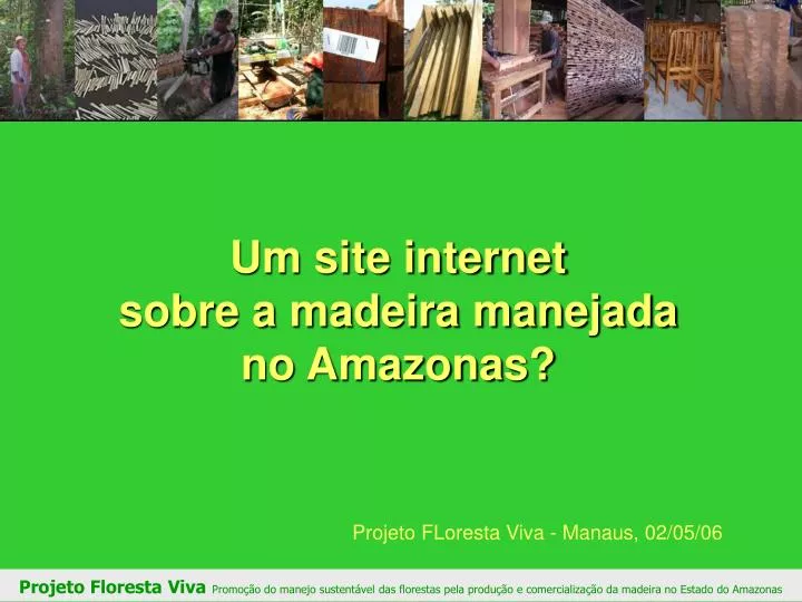 um site internet sobre a madeira manejada no amazonas