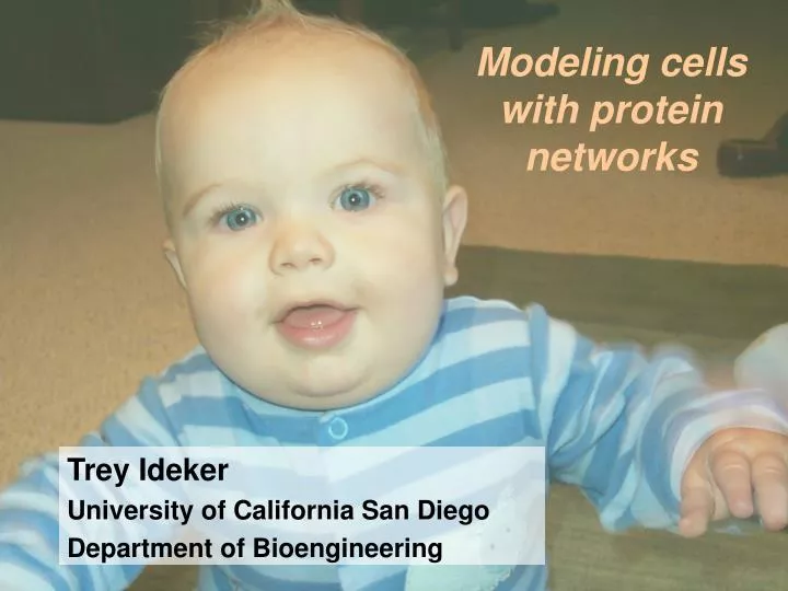 modeling cells with protein networks