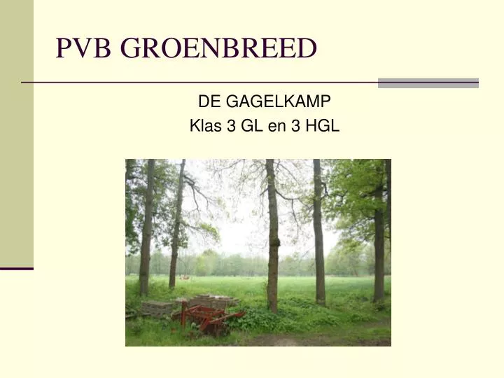 pvb groenbreed