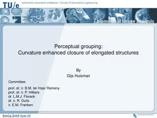 Perceptual grouping: Curvature enhanced closure of elongated structures