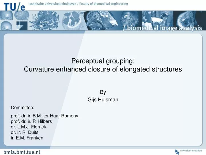 perceptual grouping curvature enhanced closure of elongated structures
