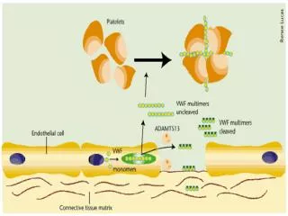 ASPIRIN ? Cox inhibition ? (PROSTACYCLIN) PGI 2 &amp; TXA 2 (THROMBOXANE) LOW DOSE ASPIRIN