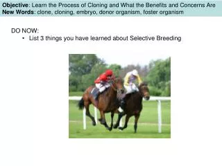 DO NOW: List 3 things you have learned about Selective Breeding