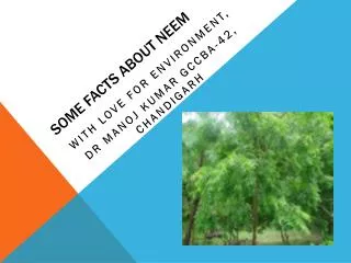 Some facts about NEEM