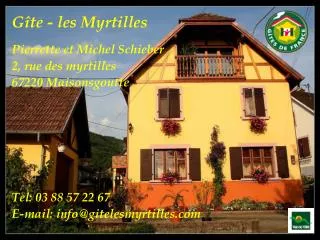 g te les myrtilles