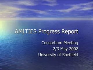 AMITIES Progress Report