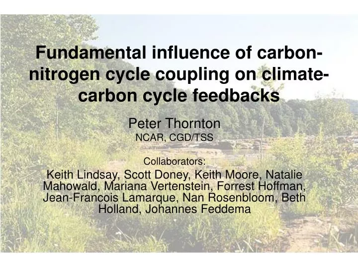 fundamental influence of carbon nitrogen cycle coupling on climate carbon cycle feedbacks