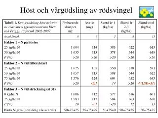 h st och v rg dsling av r dsvingel