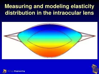 Measuring and modeling elasticity distribution in the intraocular lens