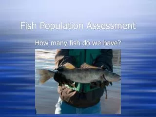 Fish Population Assessment