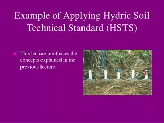 Example of Applying Hydric Soil Technical Standard (HSTS)