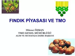 findik p yasasi ve tmo