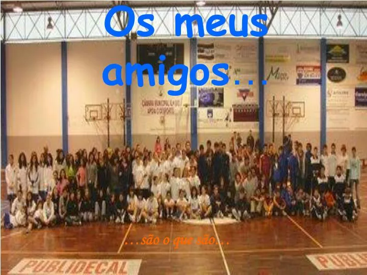 os meus amigos