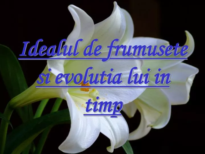 idealul de frumusete si evolutia lui in timp