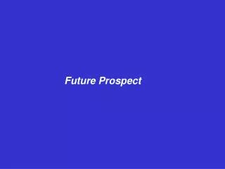 Future Prospect