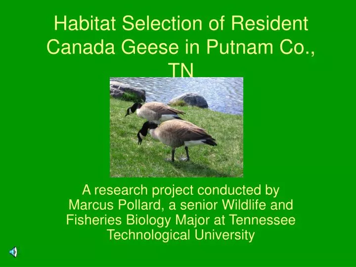habitat selection of resident canada geese in putnam co tn
