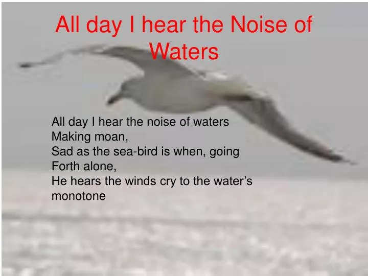 all day i hear the noise of waters