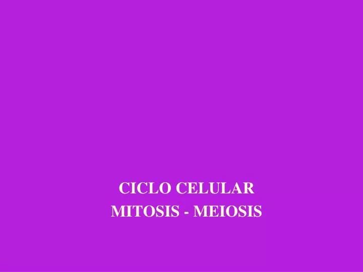 ciclo celular mitosis meiosis