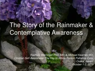 The Story of the Rainmaker &amp; Contemplative Awareness