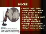 HÜCRE - slide 1