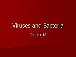 viruses and bacteria