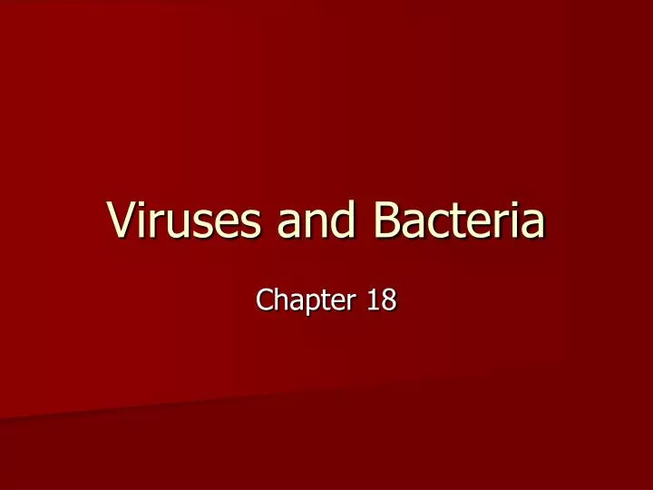 viruses and bacteria