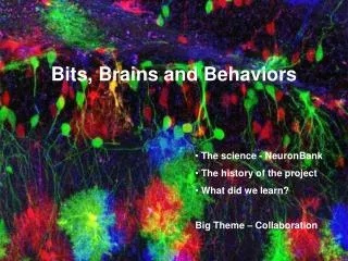 Bits, Brains and Behaviors
