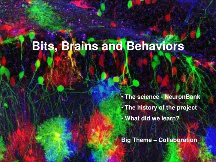 bits brains and behaviors