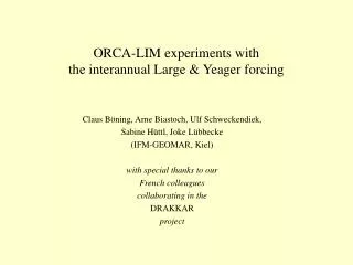 ORCA-LIM experiments with the interannual Large &amp; Yeager forcing