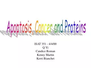 Apoptosis, Cancer and Proteins
