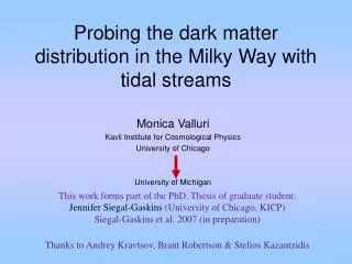 Probing the dark matter distribution in the Milky Way with tidal streams