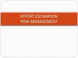 EFFORT ESTIMATION RISK MANAGEMENT