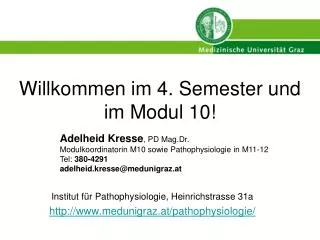 willkommen im 4 semester und im modul 10