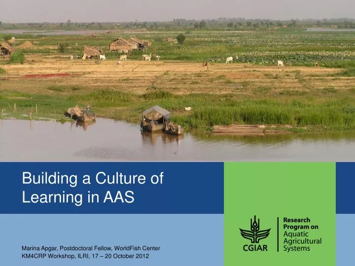 building a culture of learning in aas
