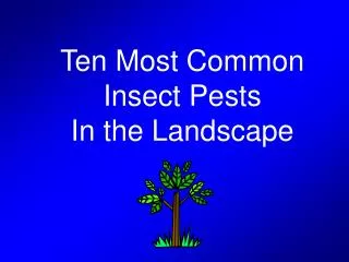 Ten Most Common Insect Pests In the Landscape