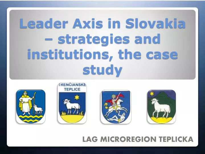 leader axis in slovakia strategies and institutions the case study