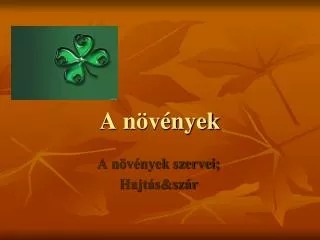 a n v nyek