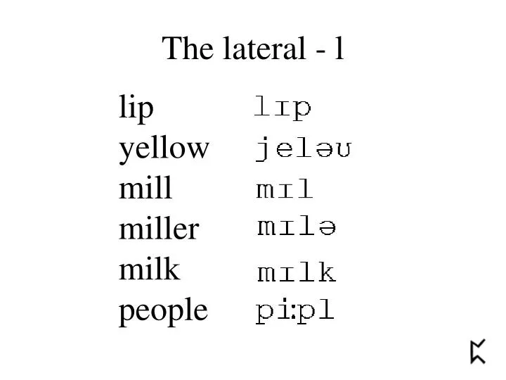 the lateral l