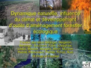 dynamique naturelle influence du climat et d veloppement d outils d am nagement forestier cologique