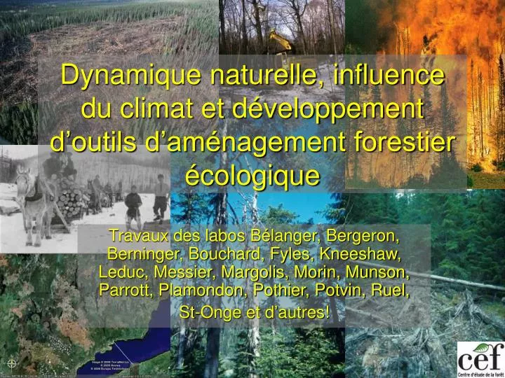 dynamique naturelle influence du climat et d veloppement d outils d am nagement forestier cologique
